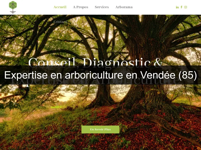 Expertise en arboriculture en Vendée (85)