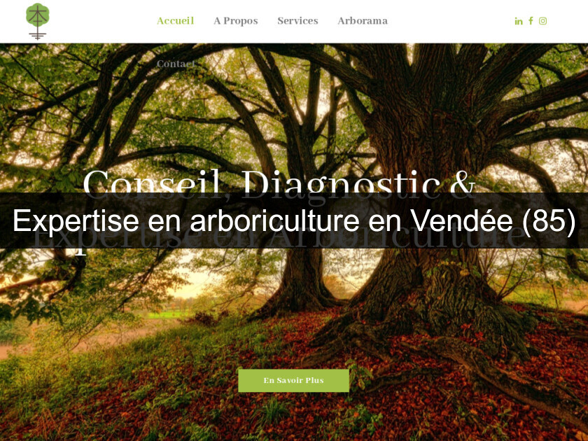 Expertise en arboriculture en Vendée (85) Expertise en arboriculture en Vendée (85)