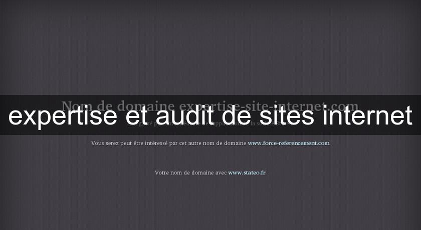 expertise et audit de sites internet