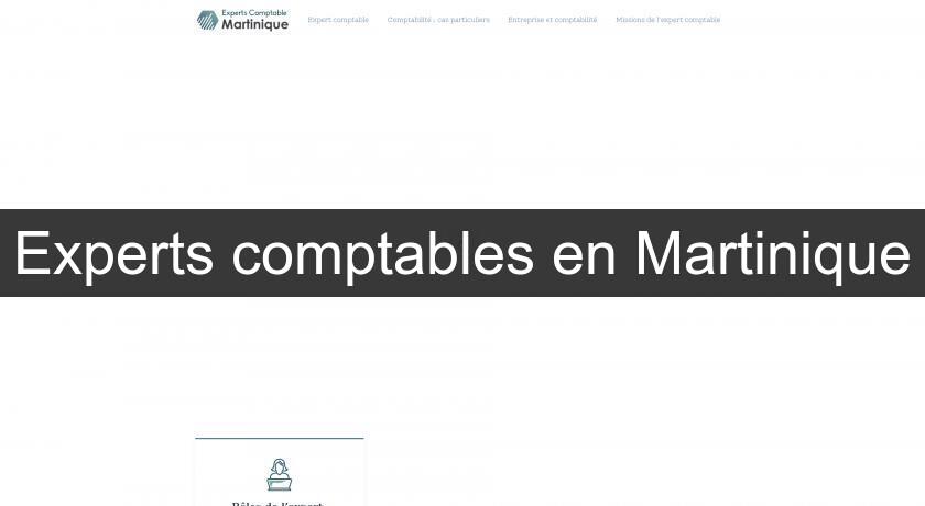 Experts comptables en Martinique Experts comptables en Martinique
