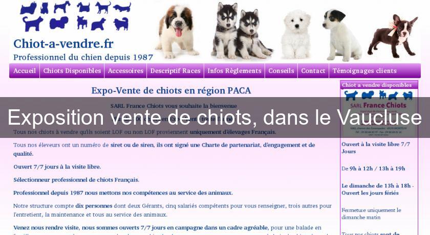 Exposition vente de chiots, dans le Vaucluse Exposition vente de chiots, dans le Vaucluse