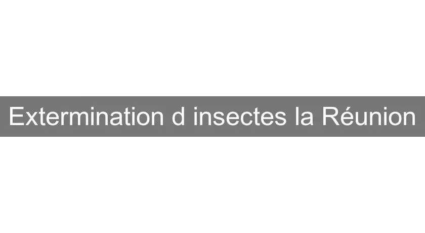 Extermination d'insectes la Réunion