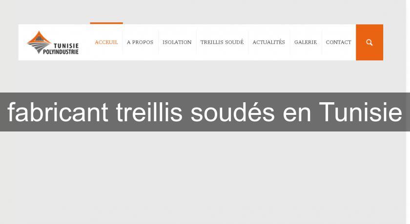 fabricant treillis soudés en Tunisie fabricant treillis soudés en Tunisie