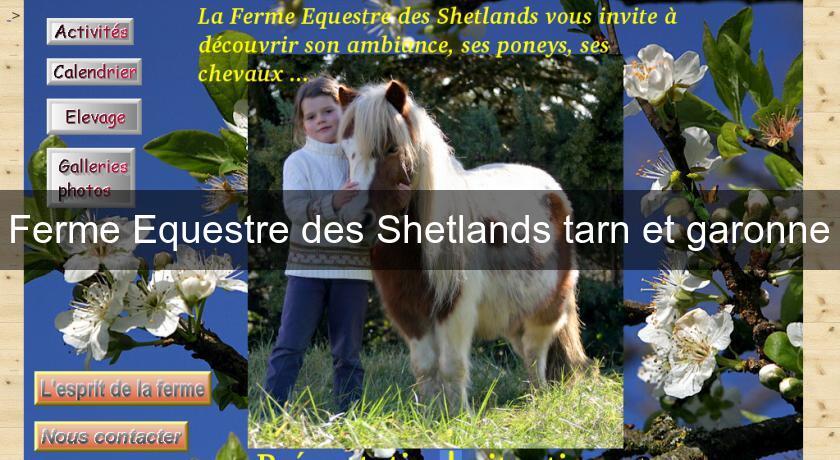 Ferme Equestre des Shetlands tarn et garonne Ferme Equestre des Shetlands tarn et garonne