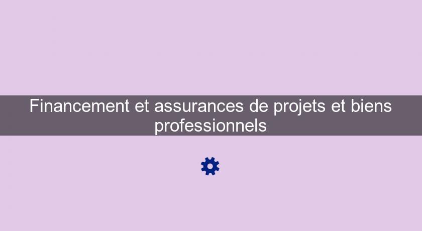 Financement et assurances de projets et biens professionnels Financement et assurances de projets et biens professionnels