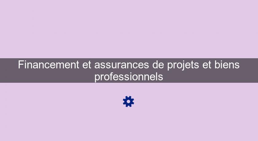 Financement et assurances de projets et biens professionnels