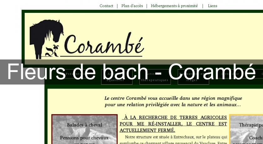 Fleurs de bach - Corambé Fleurs de bach - Corambé
