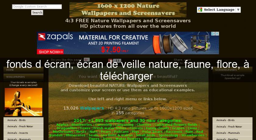 fonds d'écran, écran de veille nature, faune, flore, à télécharger 