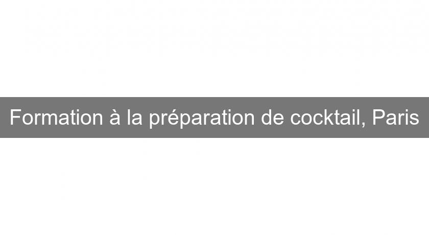 Formation à la préparation de cocktail, Paris Formation à la préparation de cocktail, Paris