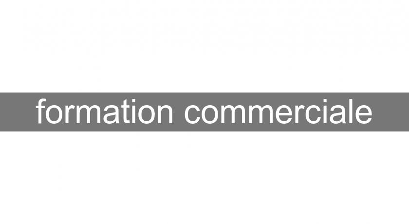 formation commerciale formation commerciale