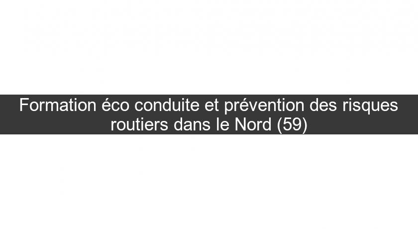 Formation éco conduite et prévention des risques routiers dans le Nord (59)