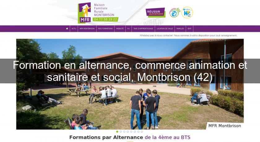Formation en alternance, commerce animation et sanitaire et social, Montbrison (42) Formation en alternance, commerce animation et sanitaire et social, Montbrison (42)