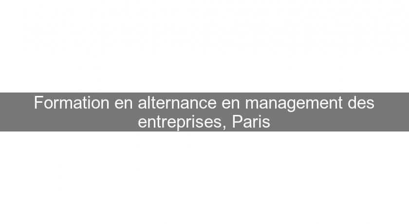 Formation en alternance en management des entreprises, Paris