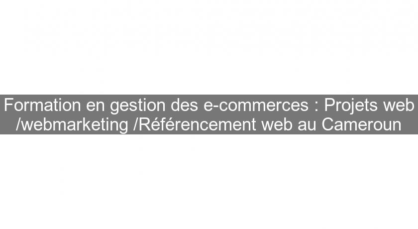 Formation en gestion des e-commerces : Projets web /webmarketing /Référencement web au Cameroun Formation en gestion des e-commerces : Projets web /webmarketing /Référencement web au Cameroun