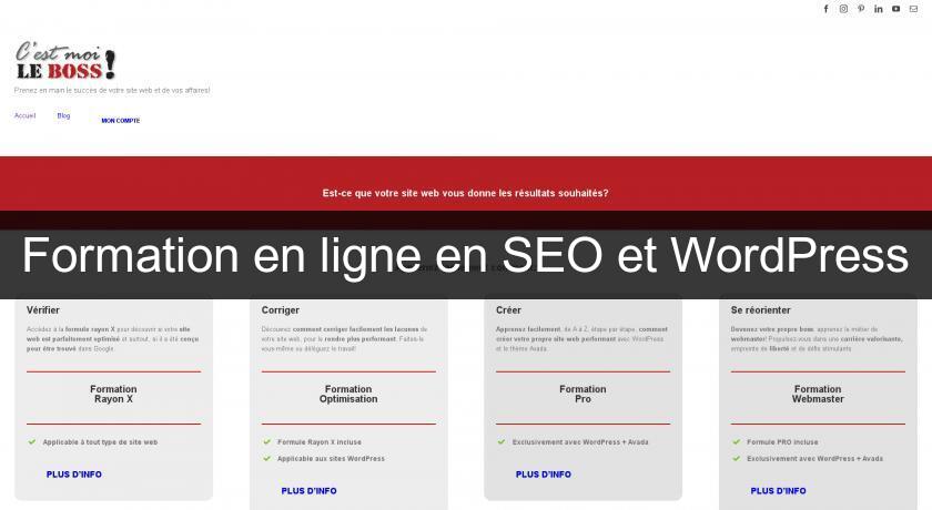 Formation en ligne en SEO et WordPress