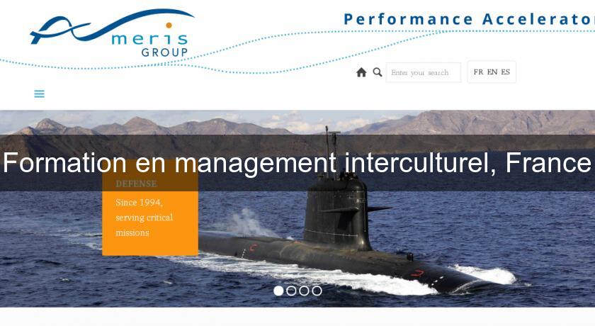 Formation en management interculturel, France Formation en management interculturel, France