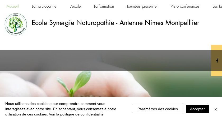 Formation en naturopathie à distance 