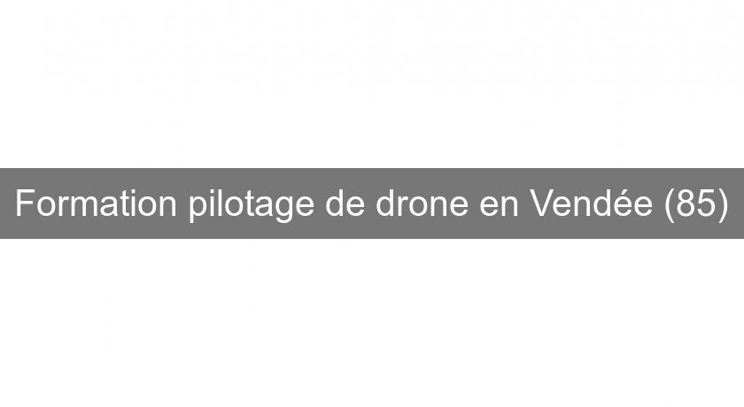 Formation pilotage de drone en Vendée (85)