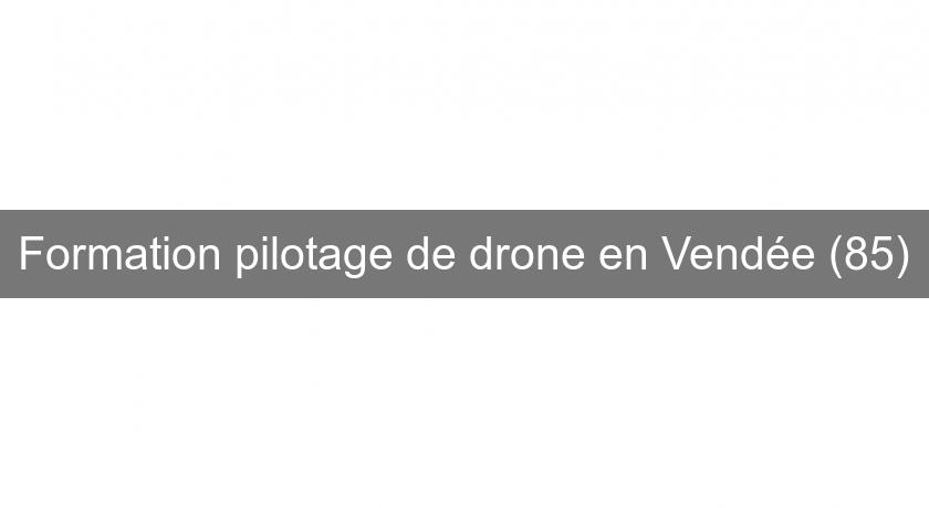 Formation pilotage de drone en Vendée (85) Formation pilotage de drone en Vendée (85)