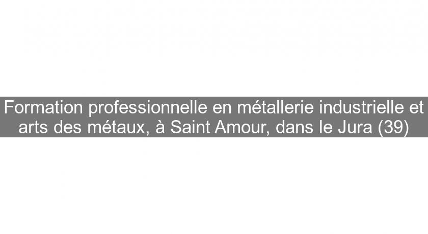 Formation professionnelle en métallerie industrielle et arts des métaux, à Saint Amour, dans le Jura (39) Formation professionnelle en métallerie industrielle et arts des métaux, à Saint Amour, dans le Jura (39)