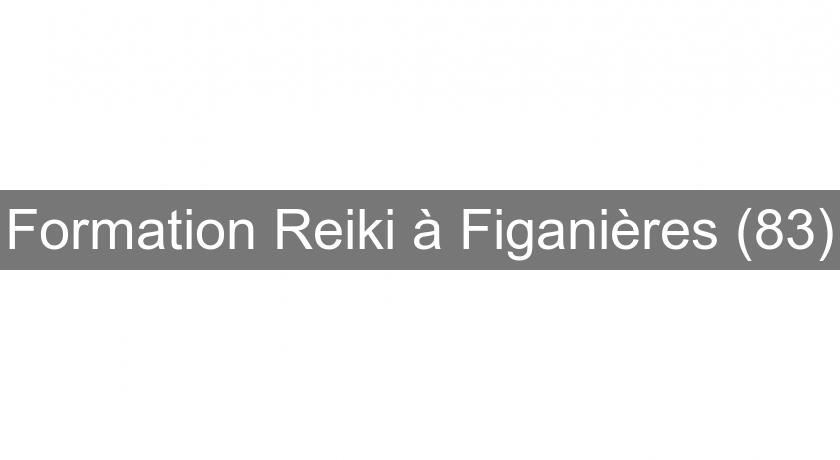 Formation Reiki à Figanières (83)
