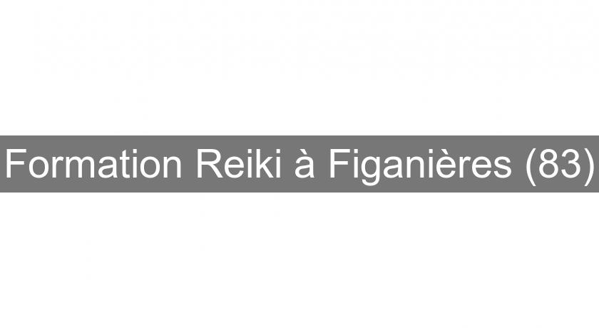 Formation Reiki à Figanières (83) Formation Reiki à Figanières (83)