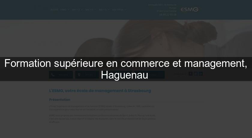 Formation supérieure en commerce et management, Haguenau Formation supérieure en commerce et management, Haguenau