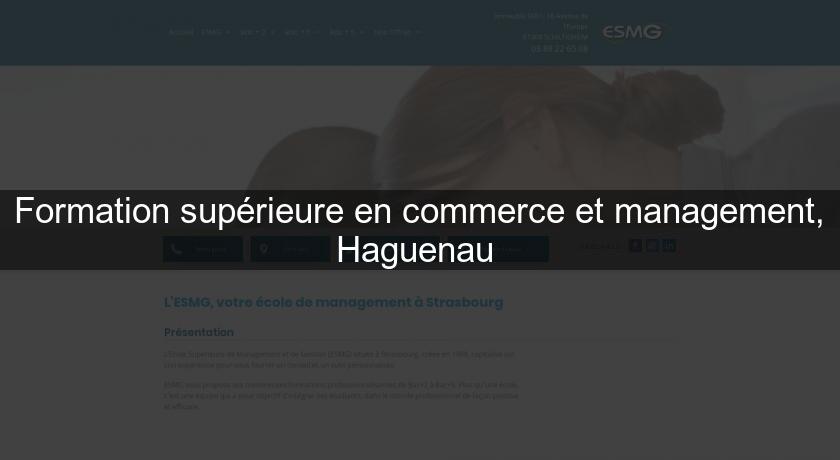 Formation supérieure en commerce et management, Haguenau 