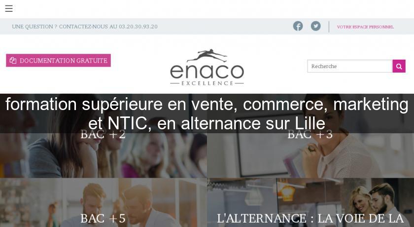 formation supérieure en vente, commerce, marketing et NTIC, en alternance sur Lille