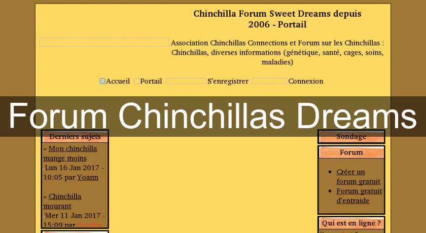 Forum Chinchillas Dreams Forum Chinchillas Dreams