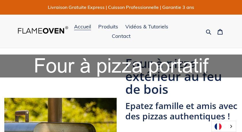 Four à pizza portatif Four à pizza portatif