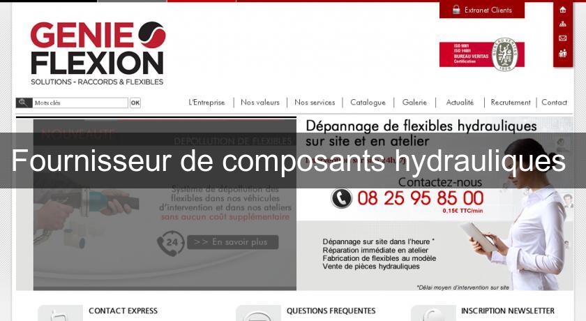 Fournisseur de composants hydrauliques Fournisseur de composants hydrauliques