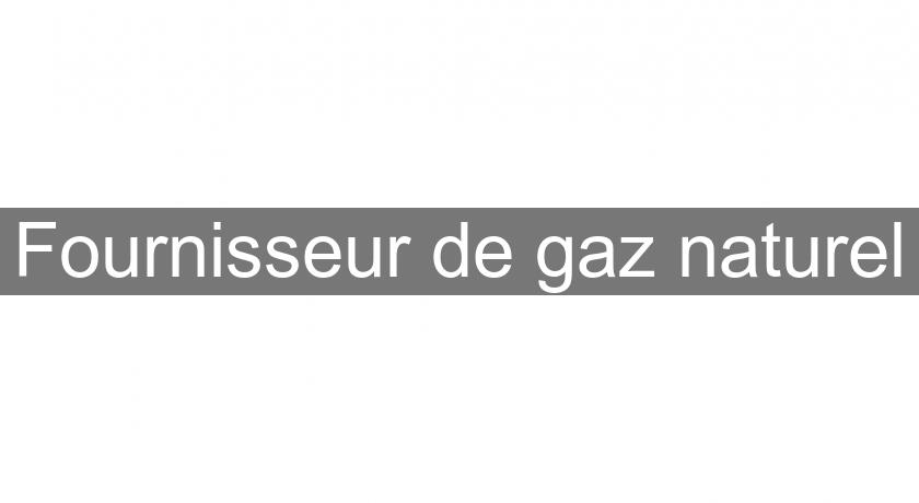 Fournisseur de gaz naturel Fournisseur de gaz naturel
