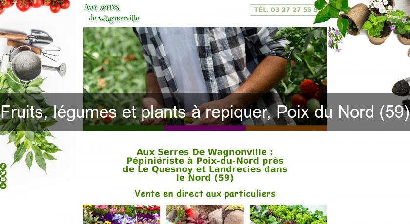 Fruits, légumes et plants à repiquer, Poix du Nord (59)