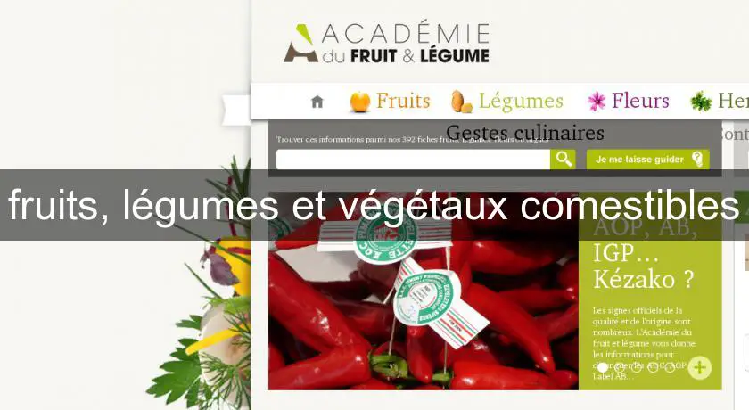 fruits, légumes et végétaux comestibles