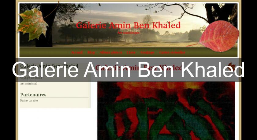 Galerie Amin Ben Khaled Galerie Amin Ben Khaled