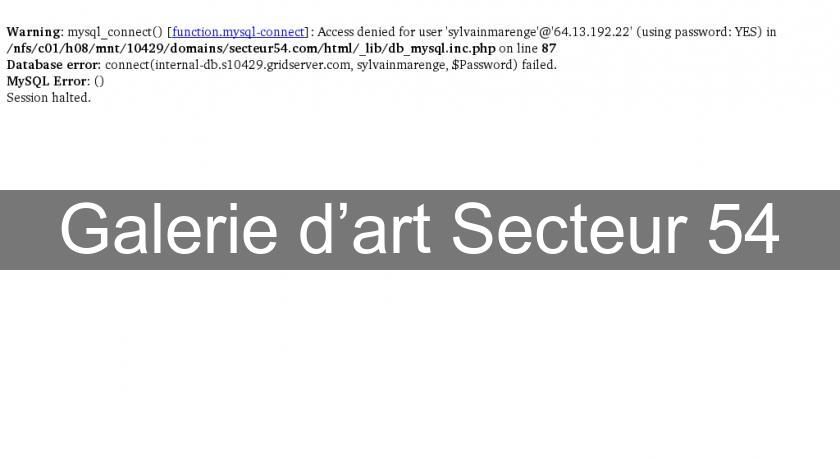 Galerie d’art Secteur 54 Galerie d’art Secteur 54
