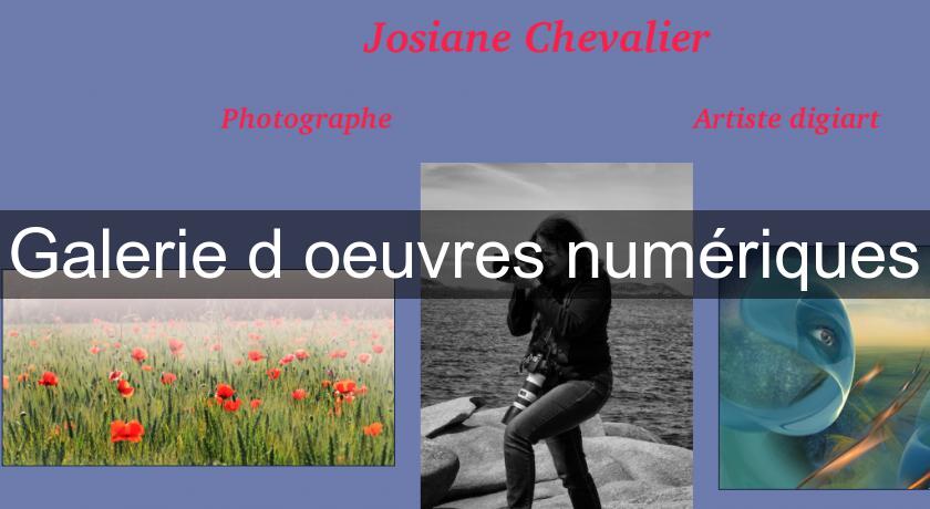 Galerie d'oeuvres numériques Galerie d'oeuvres numériques