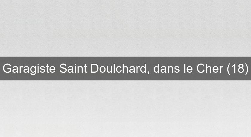 Garagiste Saint Doulchard, dans le Cher (18)