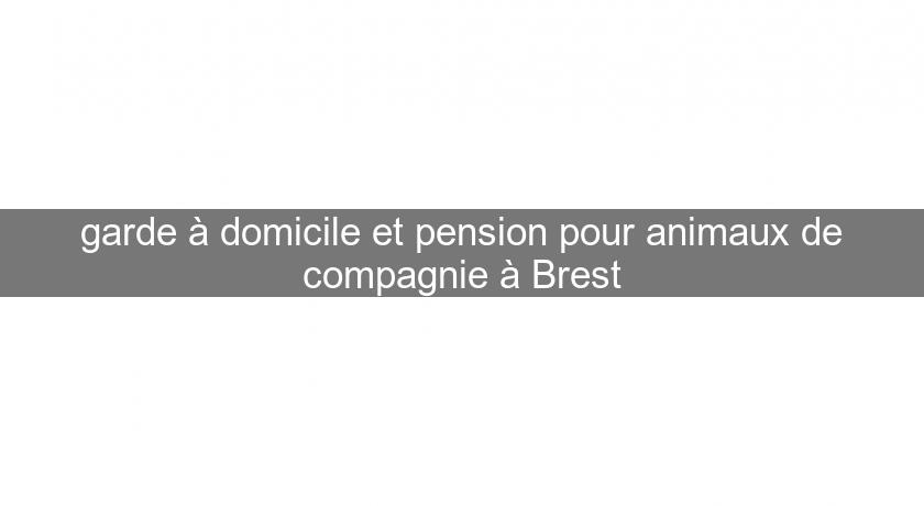 garde à domicile et pension pour animaux de compagnie à Brest garde à domicile et pension pour animaux de compagnie à Brest