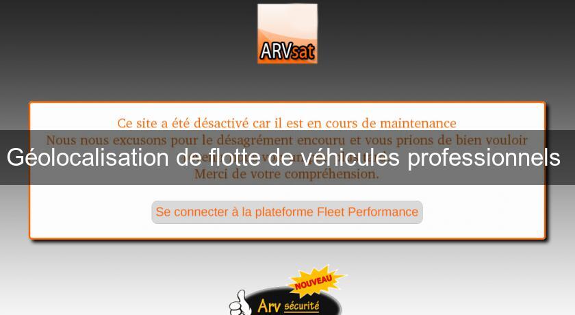 Géolocalisation de flotte de véhicules professionnels Géolocalisation de flotte de véhicules professionnels