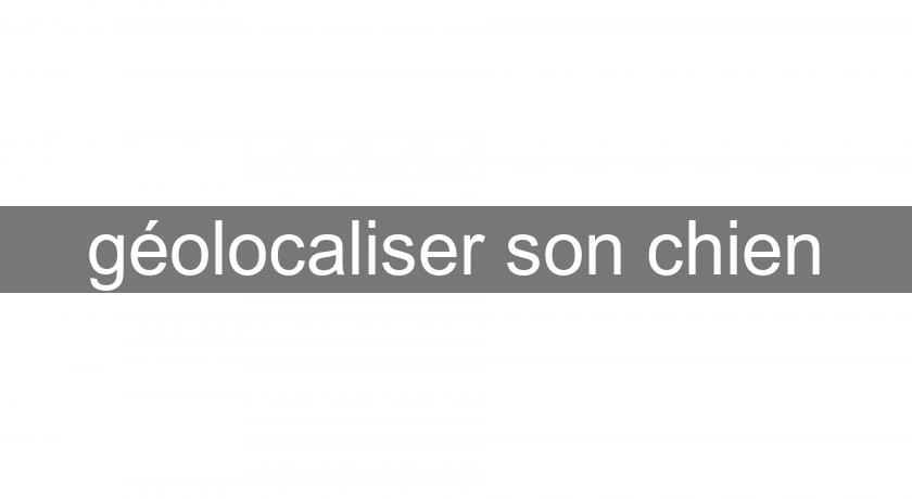 géolocaliser son chien