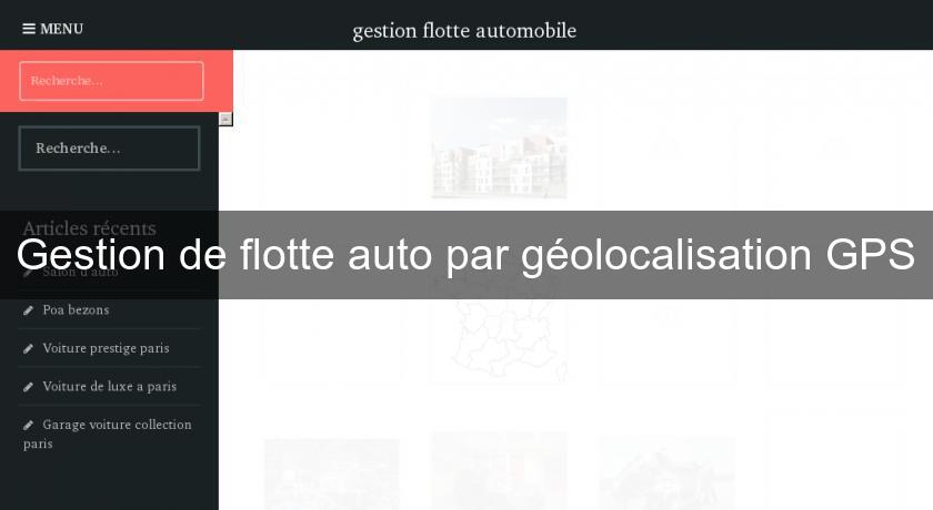 Gestion de flotte auto par géolocalisation GPS Gestion de flotte auto par géolocalisation GPS
