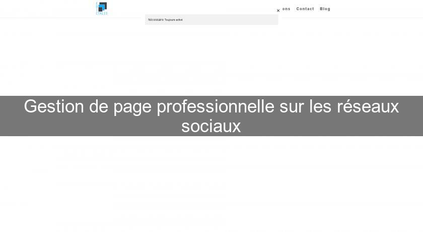 Gestion de page professionnelle sur les réseaux sociaux Gestion de page professionnelle sur les réseaux sociaux