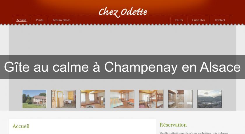 Gîte au calme à Champenay en Alsace Gîte au calme à Champenay en Alsace