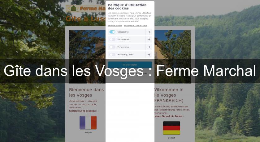 Gîte dans les Vosges : Ferme Marchal Gîte dans les Vosges : Ferme Marchal