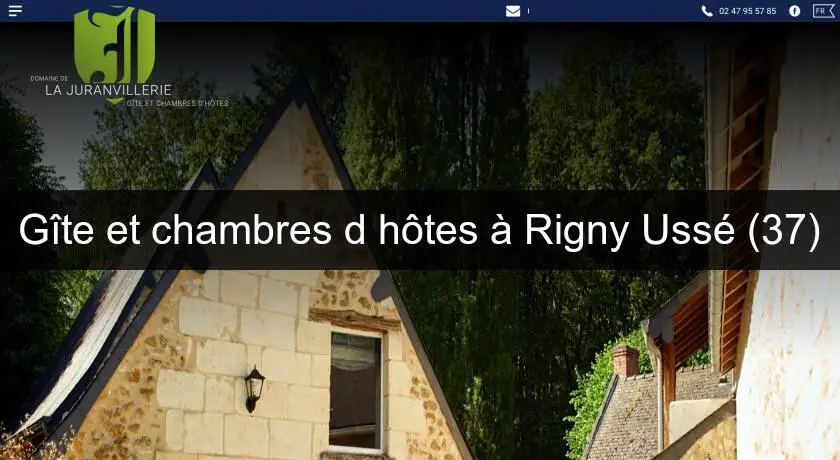 Gîte et chambres d'hôtes à Rigny Ussé (37)