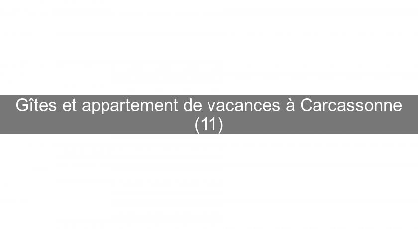 Gîtes et appartement de vacances à Carcassonne (11)