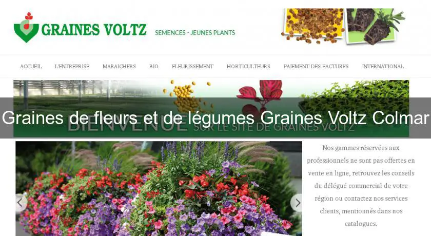 Graines de fleurs et de légumes Graines Voltz Colmar