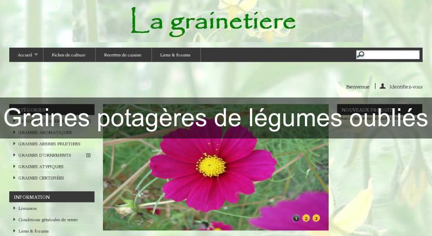 Graines potagères de légumes oubliés Graines potagères de légumes oubliés